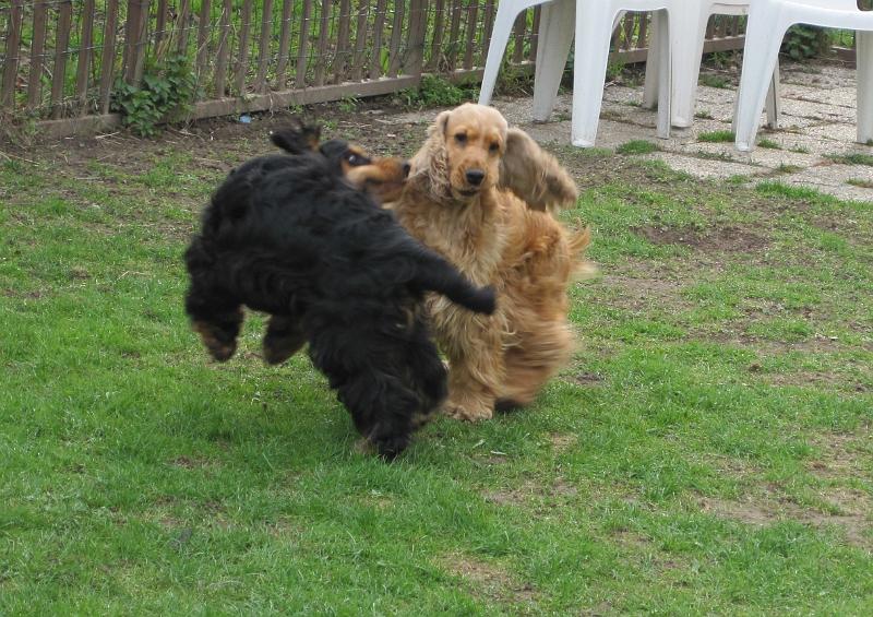 k Arny-10.4.2010.JPG